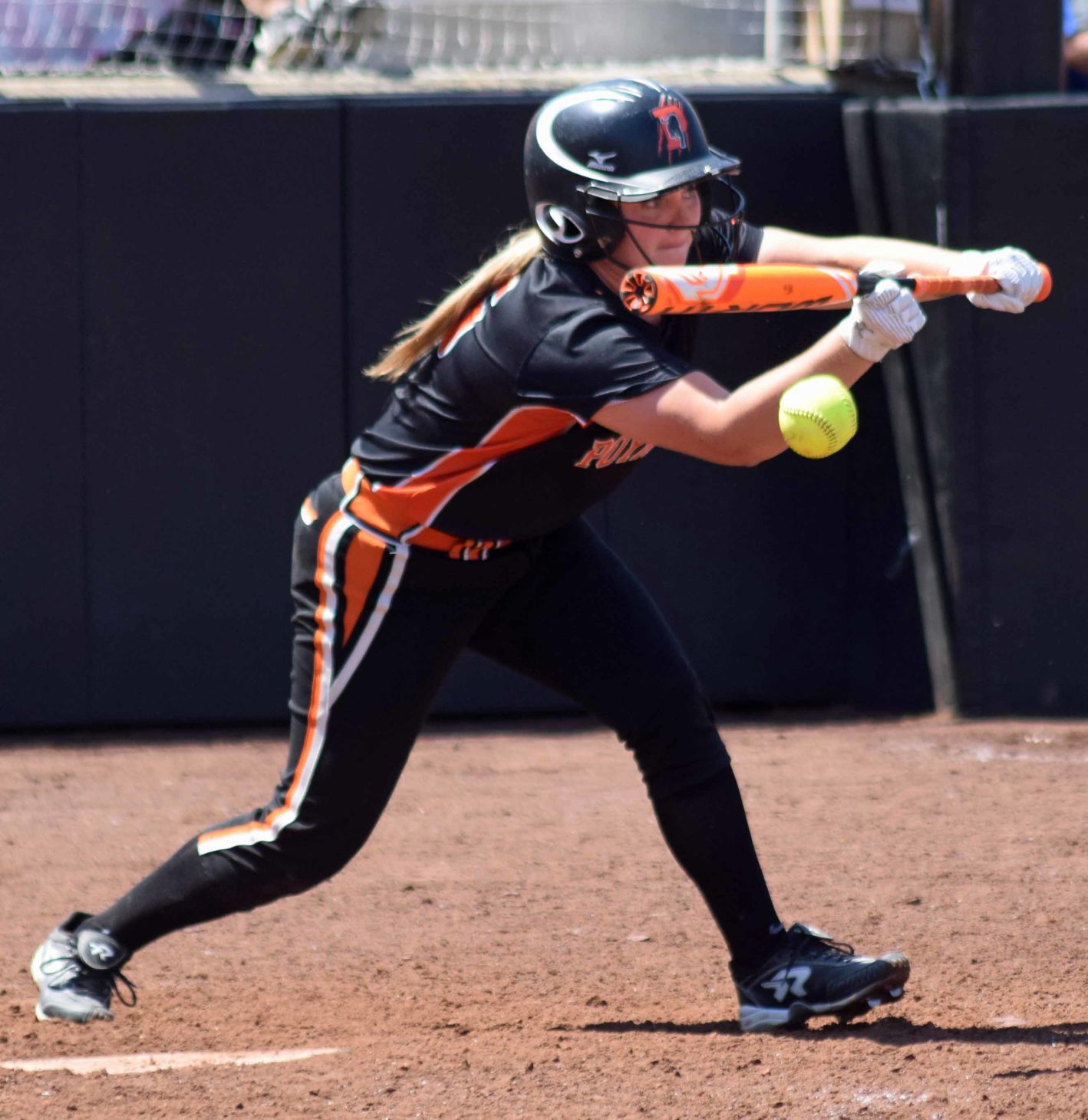 Ashley Hellenbrand